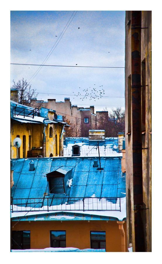 Collage, Poster, Cabin, Hut, Rural, Shack, Shelter