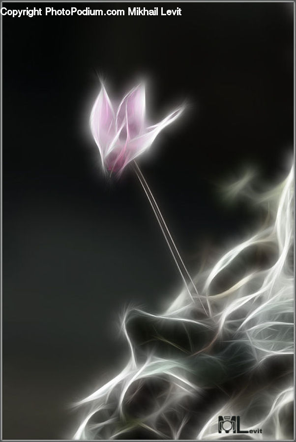Light, Plasma, Fractal
