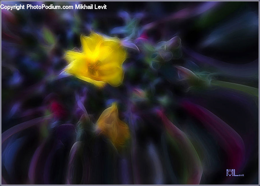 Blossom, Flora, Flower, Plant, Gladiolus, Flower Arrangement, Flower Bouquet