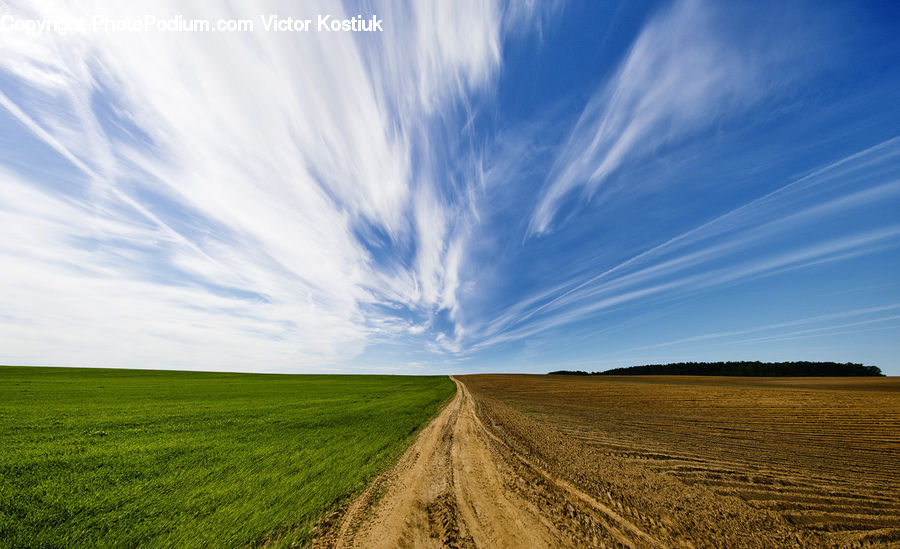 Dirt Road, Gravel, Road, Field, Grass, Grassland, Land