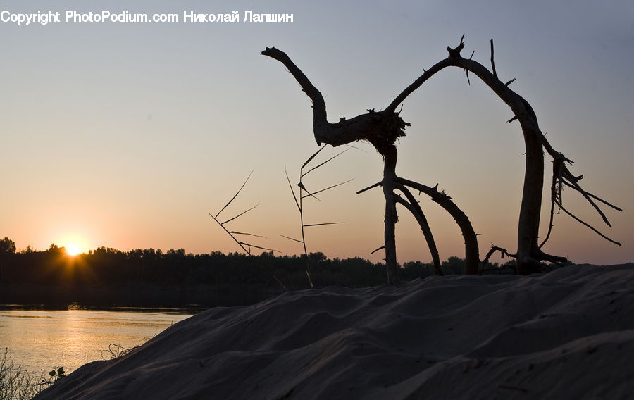 Desert, Outdoors, Silhouette, Bird, Stork, Crane Bird, Heron