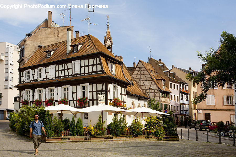 Plant, Potted Plant, Architecture, Downtown, Plaza, Town Square, Town