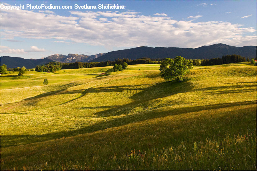 Field, Grass, Grassland, Land, Outdoors, Countryside, Hill