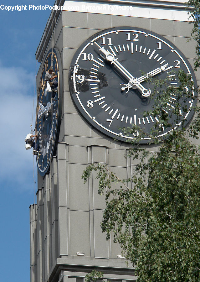 Analog Clock, Clock, Plant, Vine, Architecture, Bell Tower, Clock Tower
