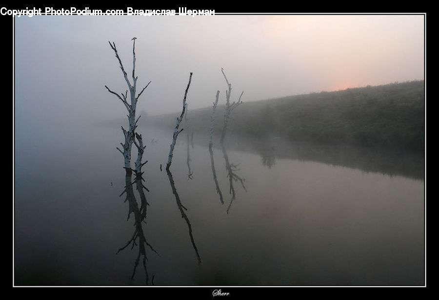 Fog, Dawn, Dusk, Sky, Sunrise, Sunset, Field