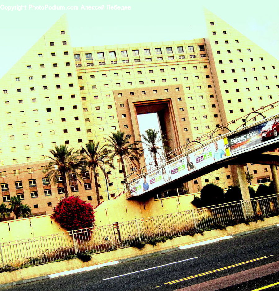 Building, Hotel, Bush, Plant, Vegetation, Housing, City