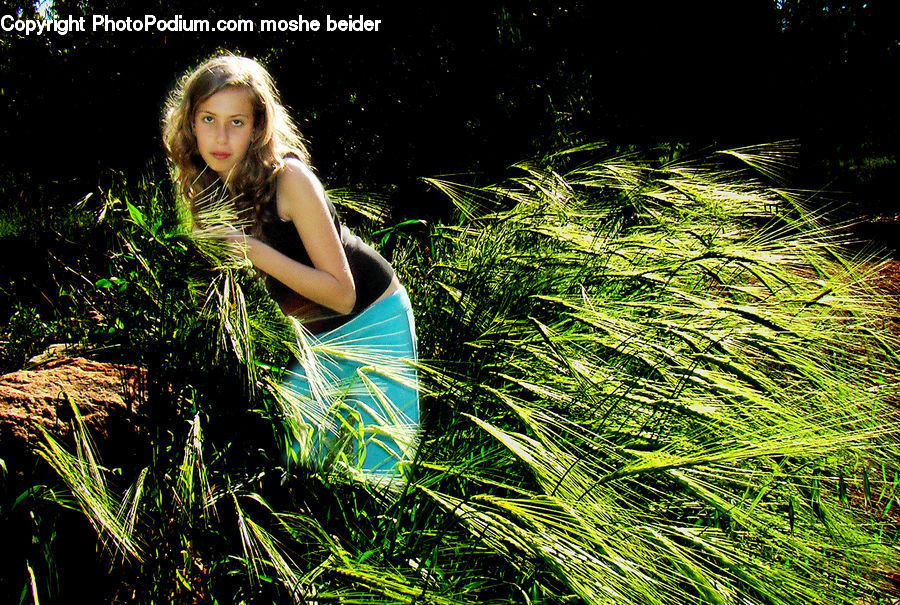 People, Person, Human, Field, Grass, Grassland, Plant