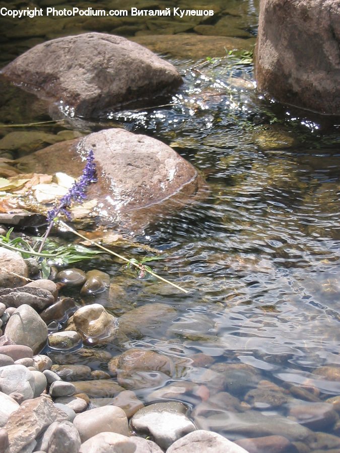 Creek, Outdoors, River, Water, Rock, Forest, Jungle