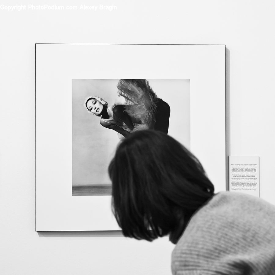 Braid, Hair, Ponytail, Person, Portrait, Selfie, Back