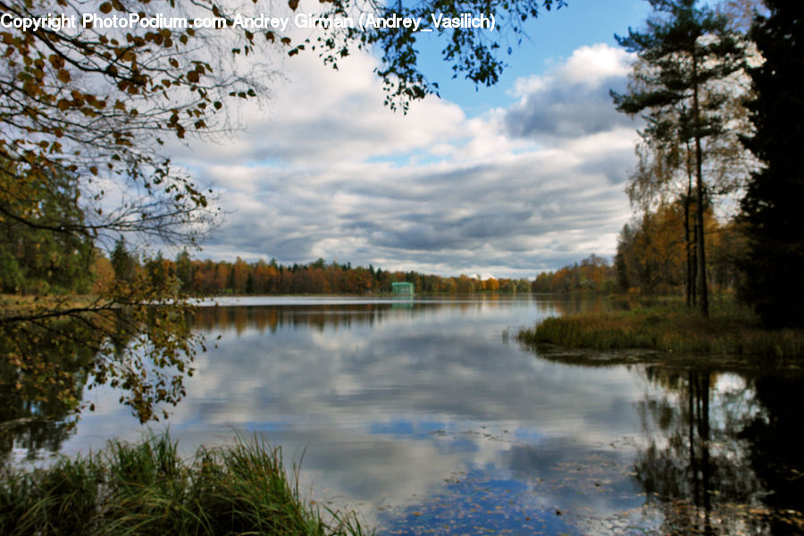 Lake, Outdoors, Water, Forest, Vegetation, Field, Grass