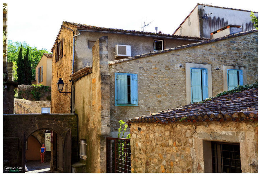 Plant, Potted Plant, Building, House, Housing, Villa, Arch