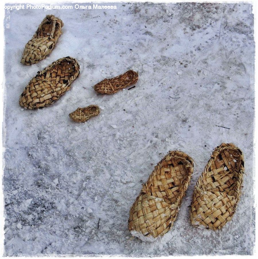 Rattlesnake, Reptile, Snake, Butterfly, Insect, Invertebrate, Moth