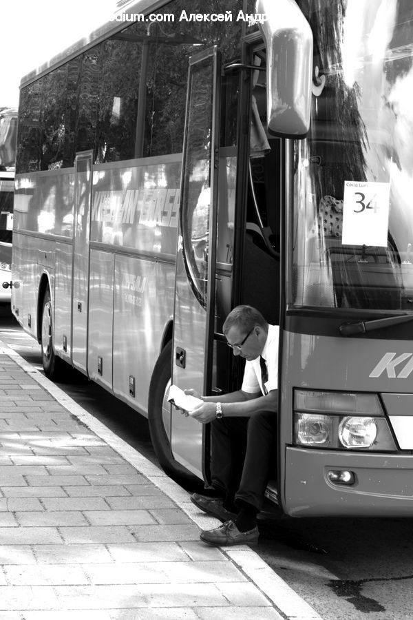 Bus, Vehicle, Bumper, Car, Transportation, Subway, Train