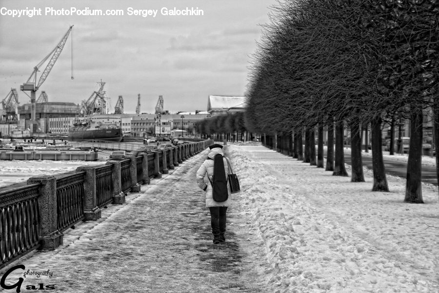 People, Person, Human, Constriction Crane, Boardwalk, Path, Pavement