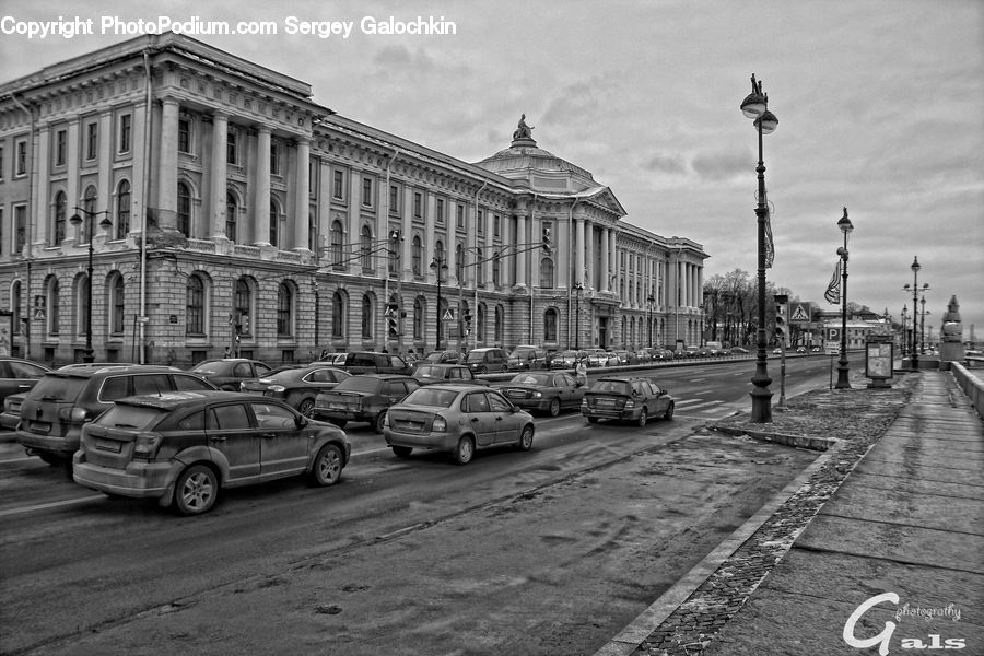 Automobile, Car, Vehicle, Parking, Parking Lot, Suv, Sedan