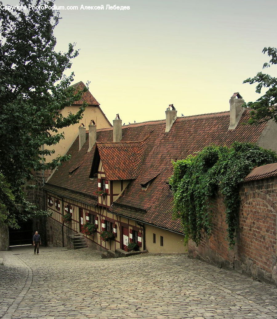 Roof, Tile Roof, Plant, Potted Plant, Building, Housing, Villa