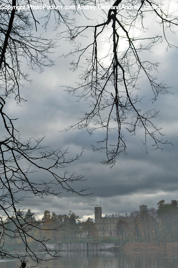 Landscape, Nature, Scenery, City, Downtown, Plant, Tree