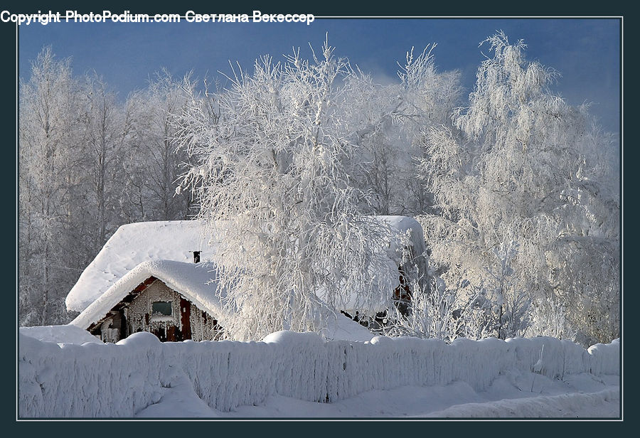 Frost, Ice, Outdoors, Snow, Field, Grass, Grassland