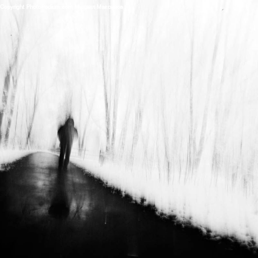 Grass, Plant, Reed, Fog, Leisure Activities, Walking, Path