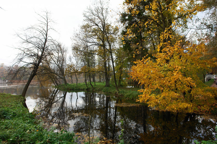 Outdoors, Pond, Water, Landscape, Nature, Scenery, Forest