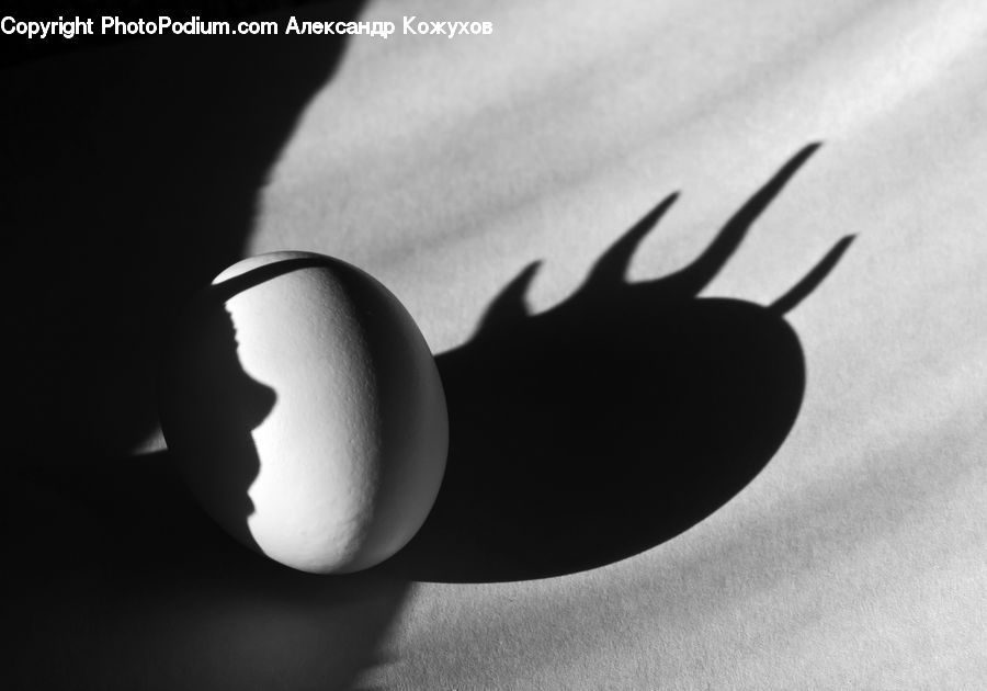 Silhouette, Logo, Trademark, Anther, Flower, Petal, Plant