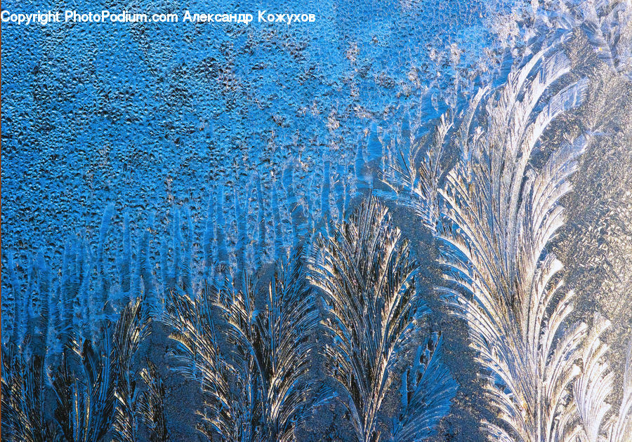 Frost, Ice, Outdoors, Snow, Field, Grass, Grassland