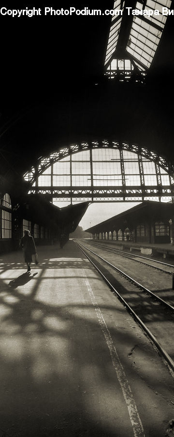 Rail, Train Track, Asphalt, Tarmac, Pedestrian, Person, Train