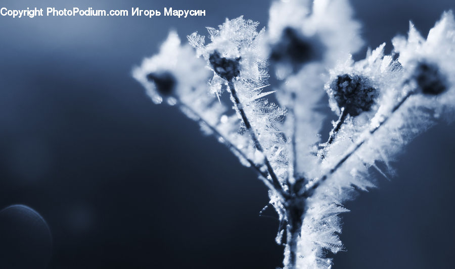 Frost, Ice, Outdoors, Snow, Eruption, Volcano, Planet