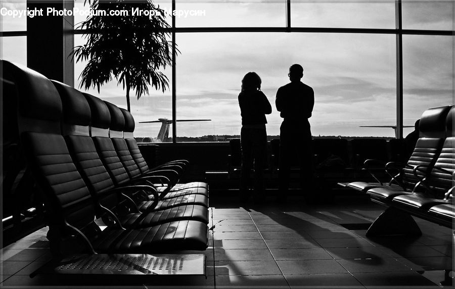 People, Person, Human, Chair, Furniture, Silhouette, Bench