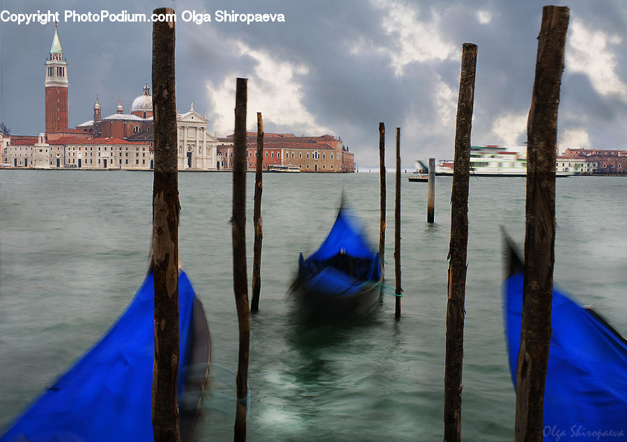 Boat, Gondola, Watercraft, Dinghy, Animal, Fish, Mammal