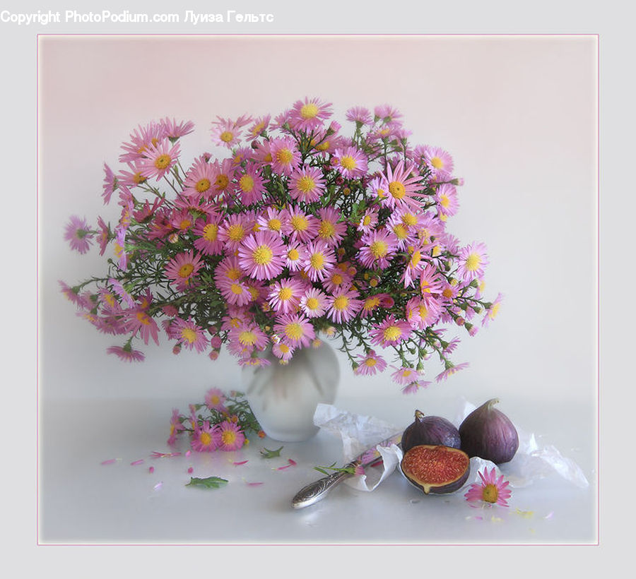Floral Design, Flower, Flower Arrangement, Flower Bouquet, Ikebana, Blossom, Flora