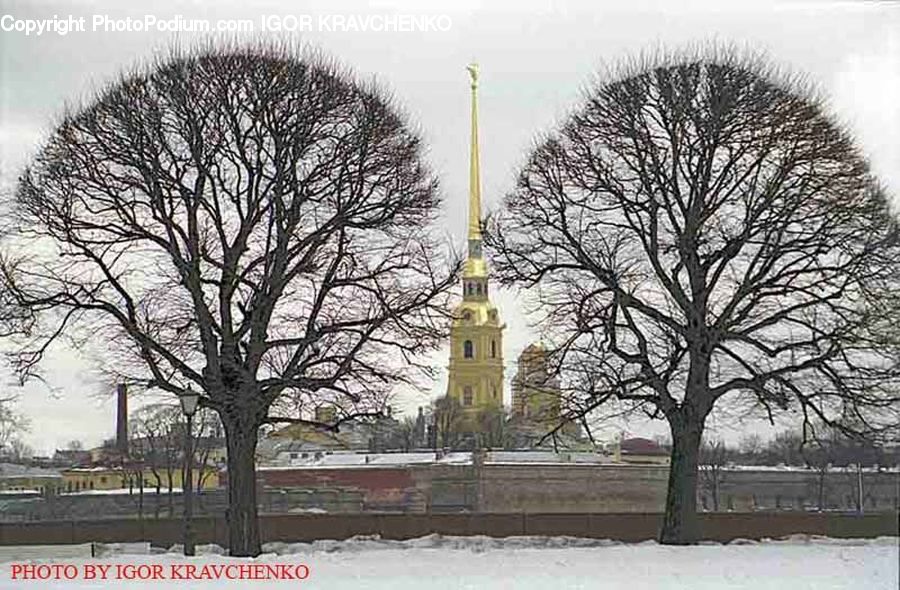 Ice, Outdoors, Snow, Plant, Tree, City, Downtown