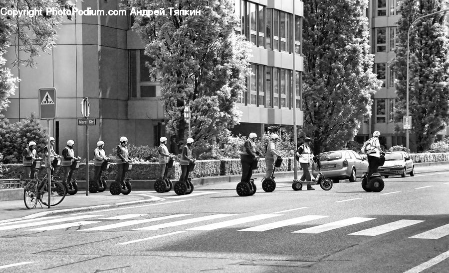 Bicycle, Bike, Vehicle, Cyclist, Automobile, Car, Marching