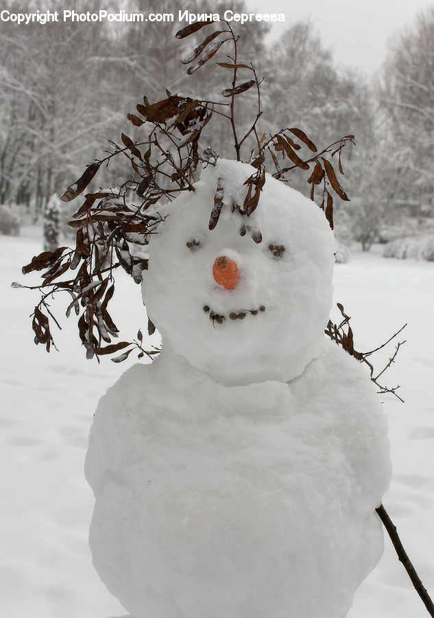 Ice, Snow, Snowman, Winter, Outdoors, Ant, Insect