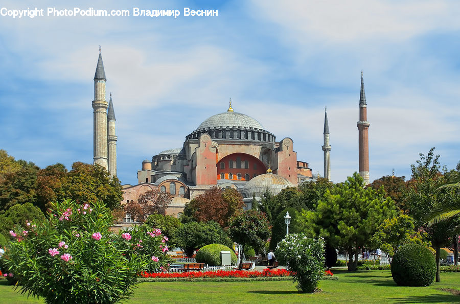 Architecture, Dome, Mosque, Worship, Garden, Tower, Blossom