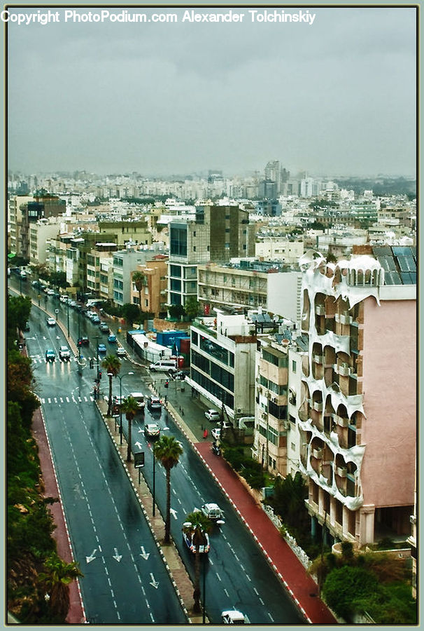 Plant, Potted Plant, City, Downtown, Metropolis, Urban, Building