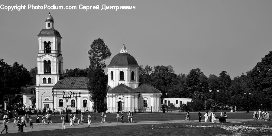 Plant, Tree, Architecture, Church, Worship, Cathedral, Downtown