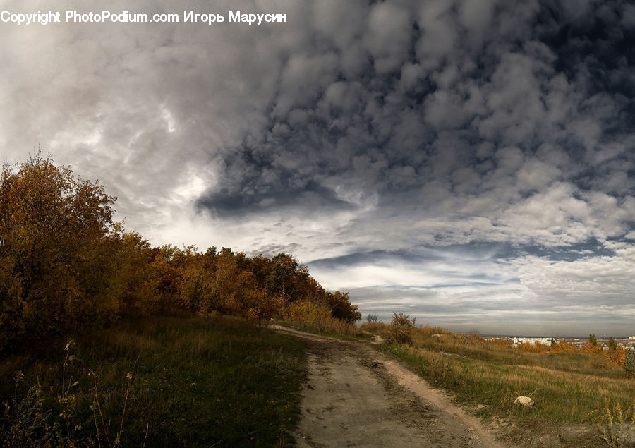 Dirt Road, Gravel, Road