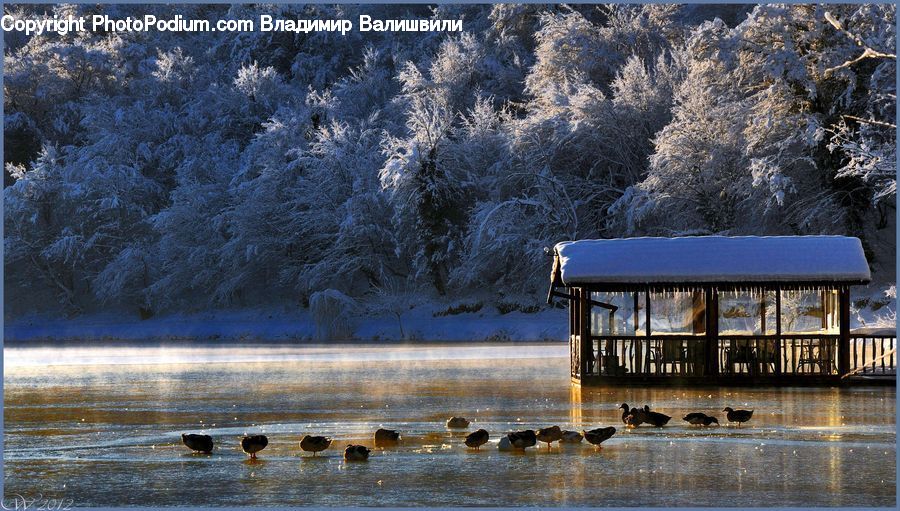 Gazebo, Water, Building, Cottage, Housing, Shack, Shelter