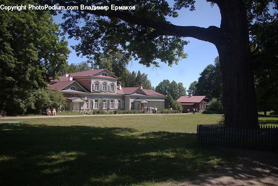 Building, Cottage, Housing, Architecture, Mansion, Yard, Fir