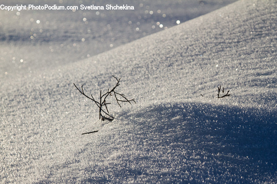 Blizzard, Outdoors, Snow, Weather, Winter, Landscape, Nature