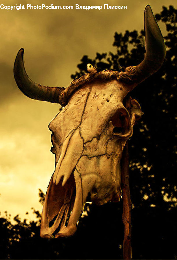 Dinosaur, Cowboy Hat, Hat, Sun Hat, Art, Modern Art, Anubis