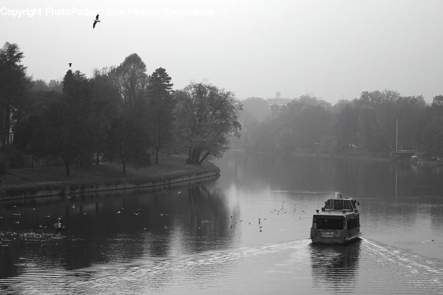 Canal, Outdoors, River, Water, Forest, Jungle, Rainforest