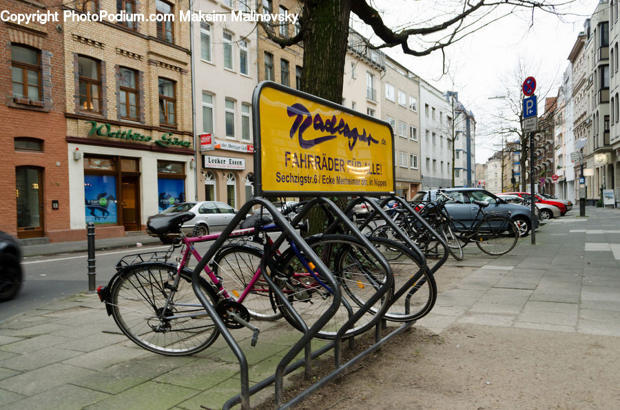 Bicycle, Bike, Vehicle, Plant, Potted Plant, Automobile, Car