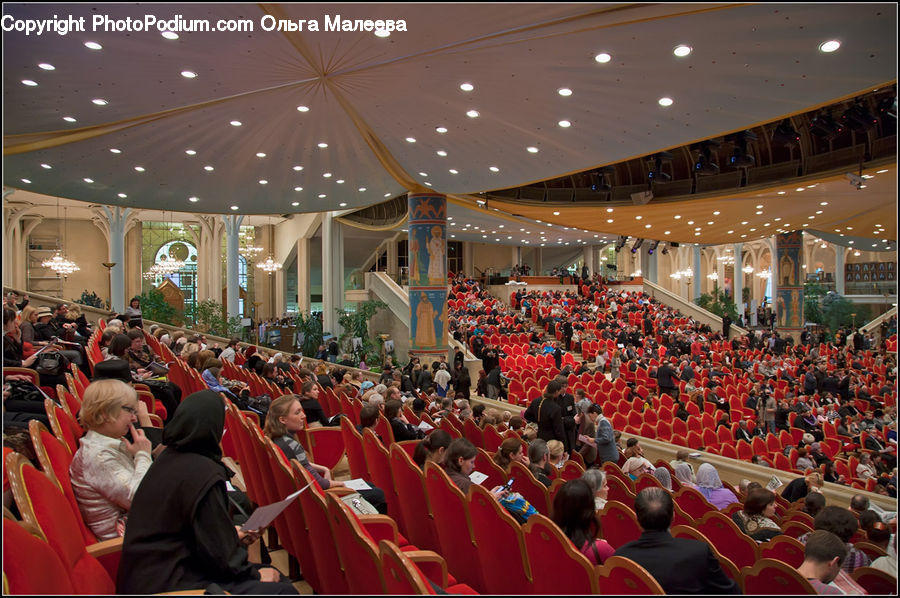 People, Person, Human, Crowd, Plant, Potted Plant, Audience