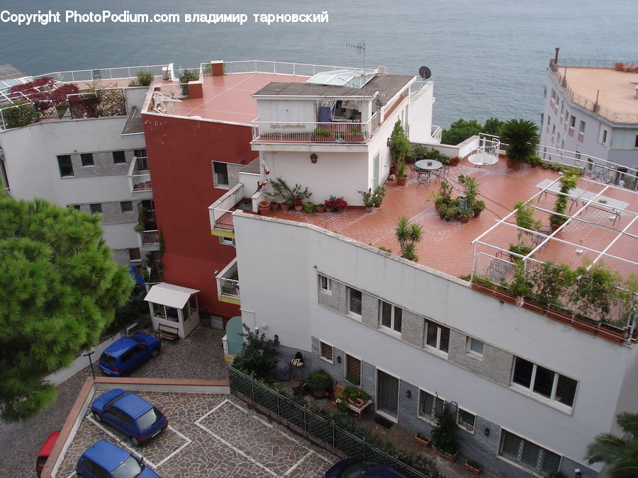 Plant, Potted Plant, Automobile, Car, Vehicle, Building, Housing