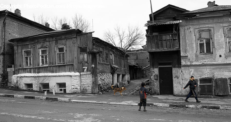Building, Downtown, Town, Housing, Villa, Cabin, Hut