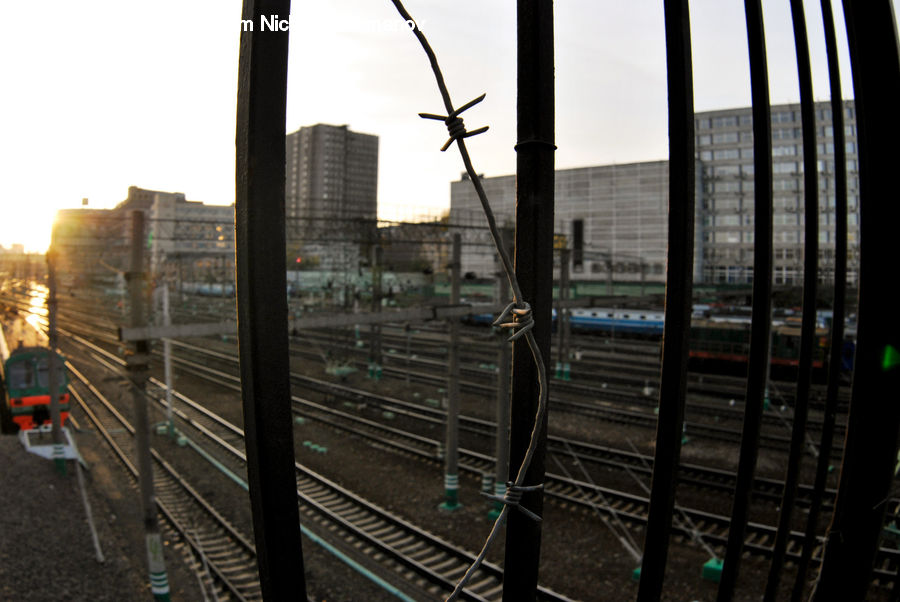 Train, Vehicle, Building, Office Building, City, High Rise, Freight Car