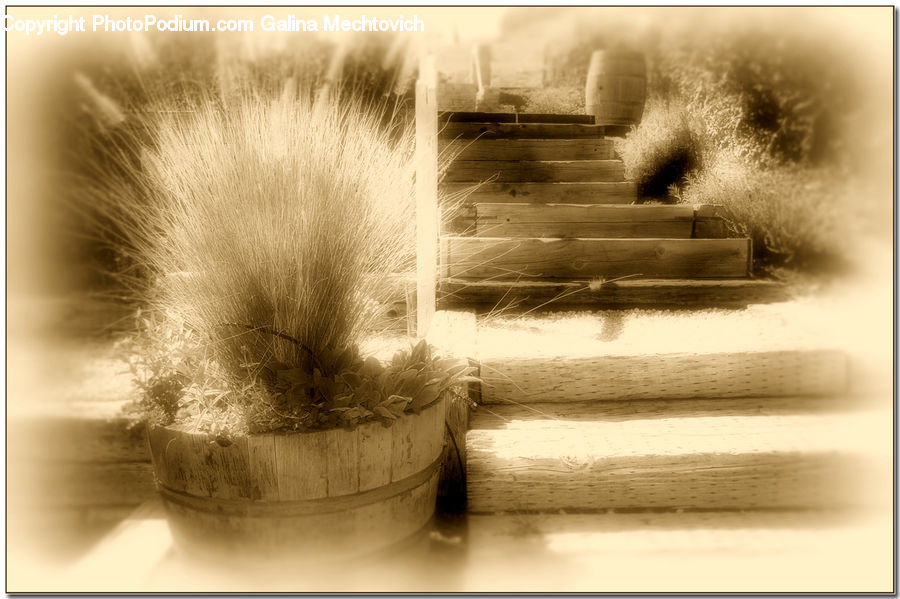 Fountain, Water, Bench