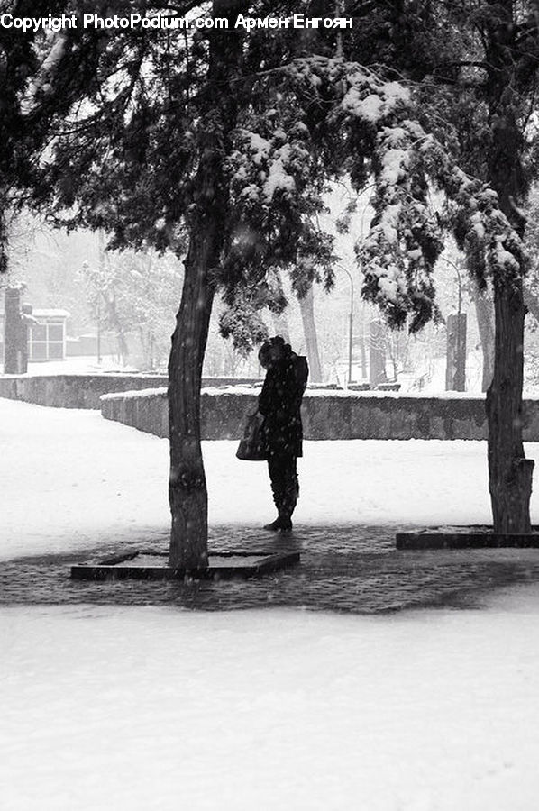 People, Person, Human, Ice, Outdoors, Snow, Plant